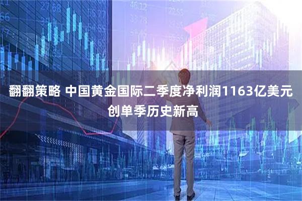 翻翻策略 中国黄金国际二季度净利润1163亿美元 创单季历史新高
