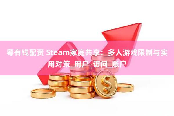 粤有钱配资 Steam家庭共享：多人游戏限制与实用对策_用户_访问_账户