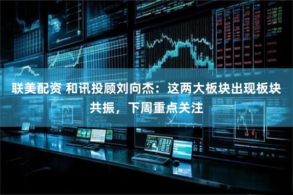 联美配资 和讯投顾刘向杰：这两大板块出现板块共振，下周重点关注