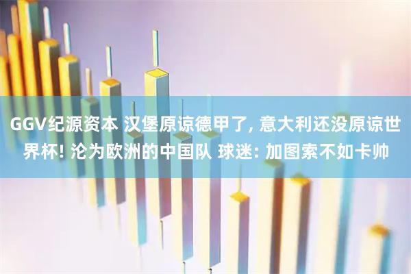 GGV纪源资本 汉堡原谅德甲了, 意大利还没原谅世界杯! 沦为欧洲的中国队 球迷: 加图索不如卡帅